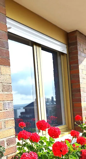 ventana de aluminio con canal de 16 en imitación anodizado oro